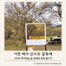 동명종합인쇄문구 | 이천 산수유 축제 주차 꿀팁 마지막날 개화 상태, 아이와 가볼만한곳 애견동반 가능