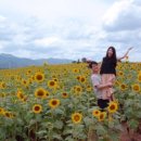 함마대로주유소 이미지