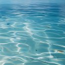 스마일목욕탕 | 군인이라면 주목! 스마일라식 군인 할인 혜택 받기