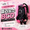 (주)다린 | 다린이 성장 일기 - 나의 첫 스킨스쿠버 장비 헬리오스 BCD