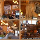 달맞이흑두부 이미지