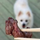 멍스빌리지풀빌라4 이미지