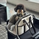 왈왈이애견카페웨스턴돔점 | 일산 웨스턴돔 숨은 애견동반카페 오베뉴 다녀온 솔직 후기