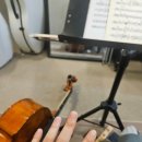 첼로병원 | 초보의 오케스트라 입단기 및 공연 준비 과정 (3) - 첼로 연습을 너무 열심히 했어요...