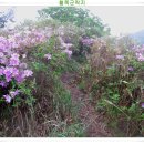 매산주유소 이미지