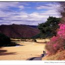 중부컨트리클럽 이미지