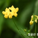 제1536호 이미지
