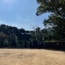 코오롱 앞(정부과천청사역 4번출구) | 관악산 등산코스 연주대 연주암 과천향교 정부과천청사역 노랑 산호랑나비