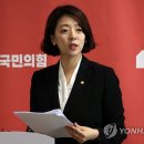 배현진, 강남서 15살 주장 괴한에 피습...경찰 조사중 이미지