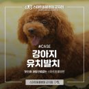 스마트동물병원 군자점 이미지