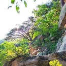 산수화펜션 이미지