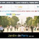 평택 가로수길 센트럴 돔 이미지