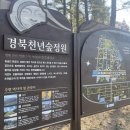 경주숲 3,4 이미지