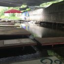 이집이 좋겠네 이미지