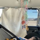 이파리 | 외출 좋아하는 아기 필수템! 꼬꼬노리 손목 치발기 &amp; 도토링 고리장난감 &amp; 이파리스트랩 내돈내산 후기