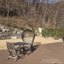 하용 | 단양 가성비 숙소 사인암 근처 비비아나펜션 비비2호 (수영장·개별바베큐)