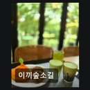 소길숲속