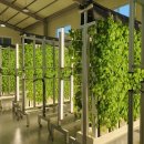 농업회사법인 ㈜그린 이미지