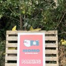 모모스튜디오 | 제주스냅 모모스튜디오 후기｜웨딩촬영 리허설 느낌으로 자연스러운 커플사진 촬영