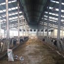 한마음목장 이미지