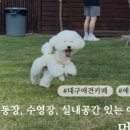멍꾸기상점 네이버블로그