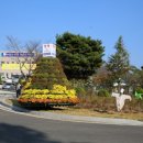 보령농축산물센터 네이버블로그