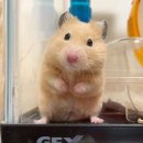 뵤뵤 Daum카페