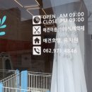 늘사랑 애견미용실 네이버블로그