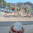 무에뜨(mouette)
