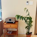 산물19.1 이미지