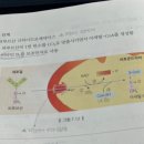 1권 7장 세포호흡 164쪽 피루브산 디하이드로제네이스 순서 이미지