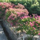 고려동유적지 이미지