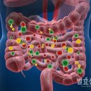 이폴리 - 포항시 북구 삼흥로233번길 1-16 | 이폴리