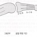 수지부의 골절과 탈구의 치료원칙 이미지