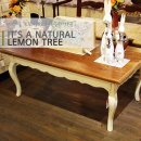 레몬트리 이미지