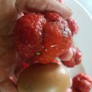 용광농장 이미지