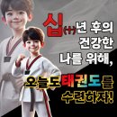 하나린태권도 이미지