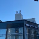 필라테스 본(BONE) 이미지