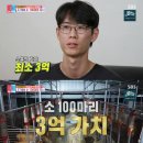 부부축사 이미지