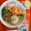 도토리 강아지 유치원 이미지