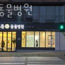 용인으뜸원동물병원