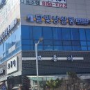 달빛냥살롱 이미지