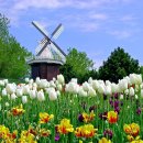 화해농장 이미지