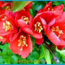 은혜병원 이미지