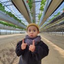 유봉농장 이미지