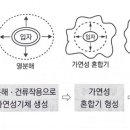 분진 폭발 이미지