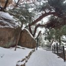 삼성산 옥문봉(돌산)칼바위능선 장군봉의 눈꽃 2025,01,31