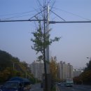 태전3차두성타운경로당 | 지역구 사업