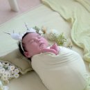 (주)천본 | 헤이든스튜디오연수점-본아트촬영/24일차 촬영
