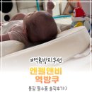 엔젤드림1 | 엔젤앤비 역방쿠 각도조절 통잠필수품 솔직후기